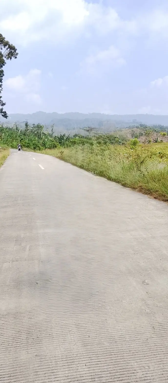 Cruising through the isolated concrete roads of Sojomerto, Gemuh. Turning a remote roadside delivery break into a classroom for the omnichain future.