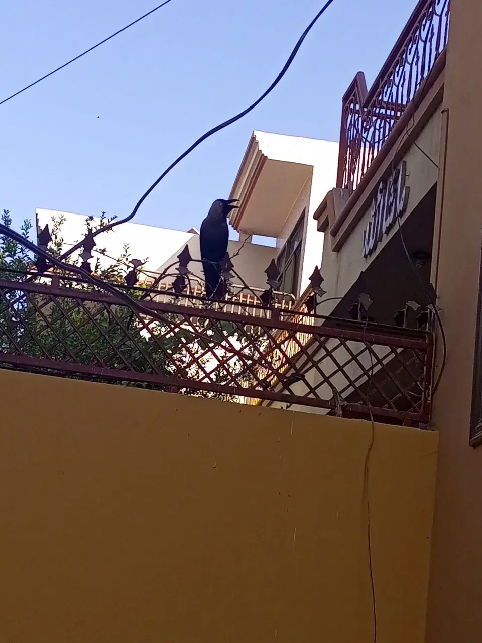 ffc6eda6a0aaf79976ab0f91b3286ac6e23b6a2a5c595eae195ec24cbbe4776b.jpg