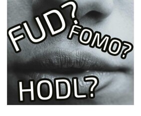351665157-1fde723a83d606d13cfcaceb25b6c3f56b817463c67695f0d91b535f24a9b3d6.jpeg