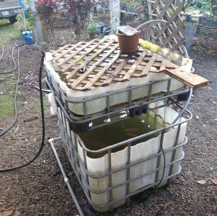 Aquaponics first stage