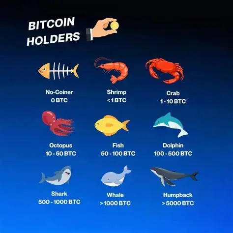 Which one are you?