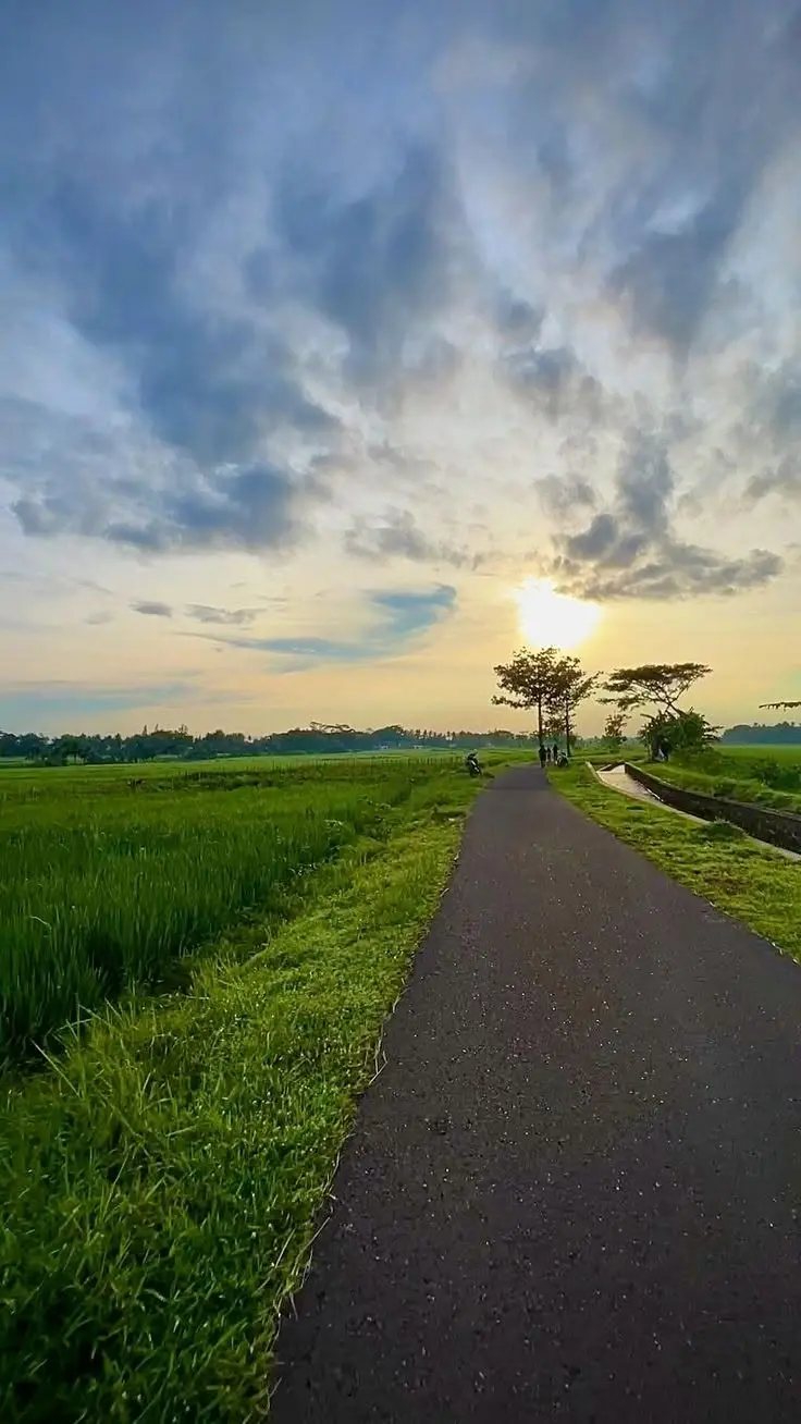 c868abe4ef0438a792af204bc529074d02daf55761bb75aa69070649ab5b465b.jpg