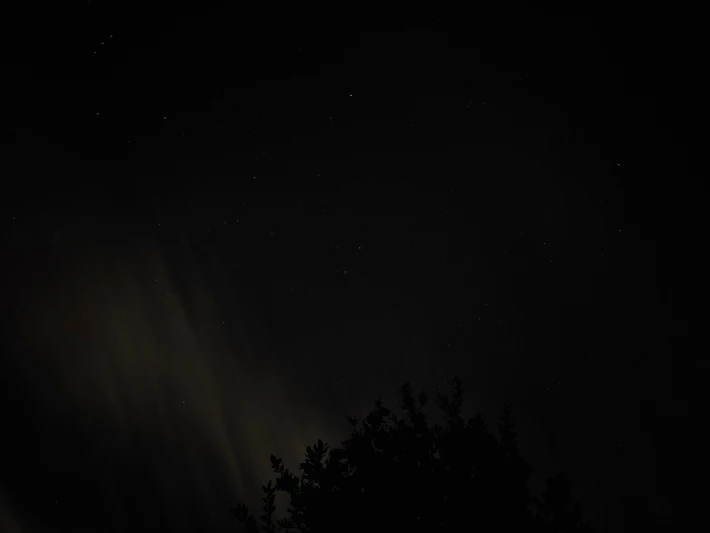 Stars