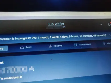Cardano ADA Wallet Woes.....