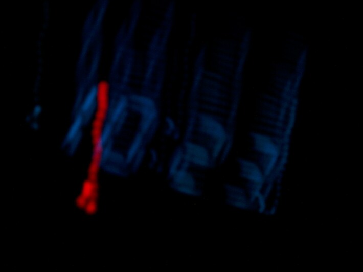 351665157-e7c53f2585f1163da6641fdca7a7b1b9c704a1e712af02c67d388934ece6da1b.jpeg