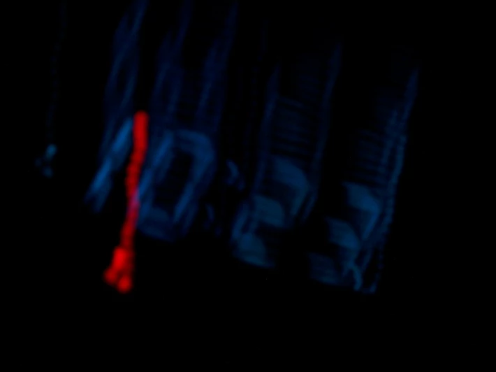 351665157-e7c53f2585f1163da6641fdca7a7b1b9c704a1e712af02c67d388934ece6da1b.jpeg