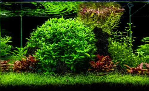 190903265-45421d21ca4ae65304b2d6c781bb8cf05ed26963a1429786ab675aa5ee14d101.jpeg