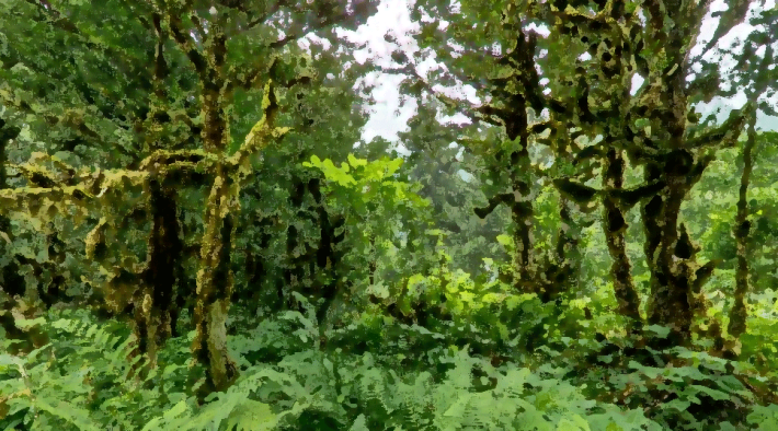 351665157-3ab622b0e8ce90fa165606b48f62caea7012892e8a48d30b95a9c4f04552a82d.png
