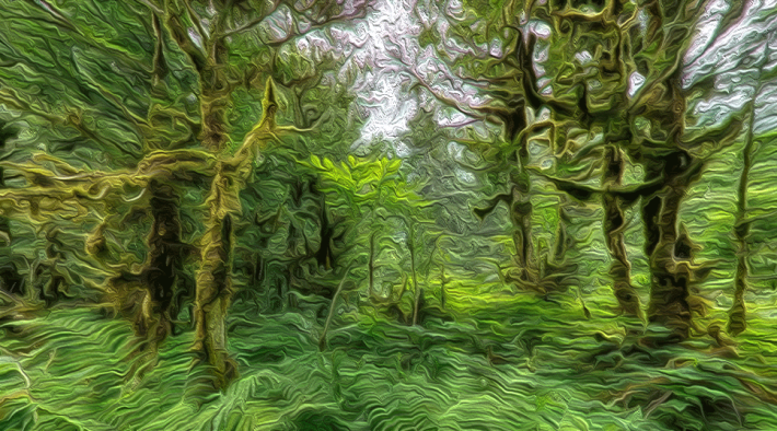 351665157-f4cb9c86cfd8a6d2db2a47782881e59da47451ed086c0094efd4f75573f81be4.png