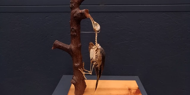 351665157-aae9847ca0c4da289d6540d7fd144f28da29aa20b78508e43c2ec62b98aa05fd.png