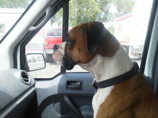 Jack is my copilot