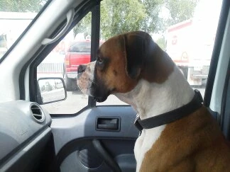 Jack is my copilot