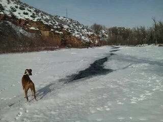 Jack on a frozen river
