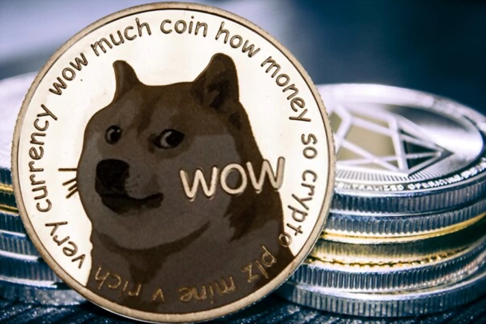 what is dogecoin doge