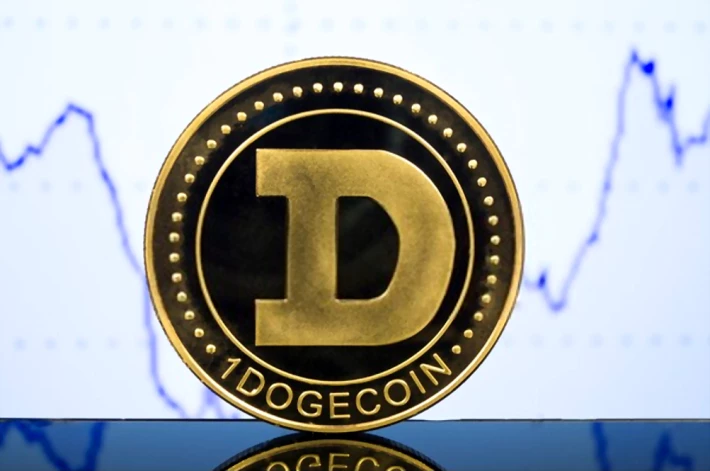 dogecoin future