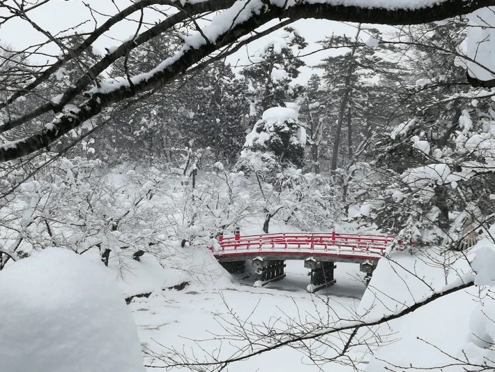 Snow scene in Japan
