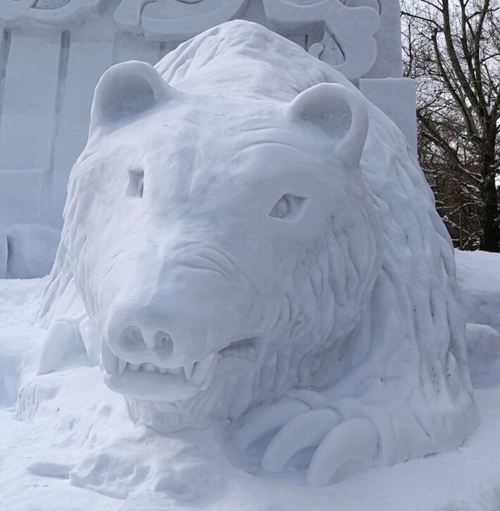 snow bear