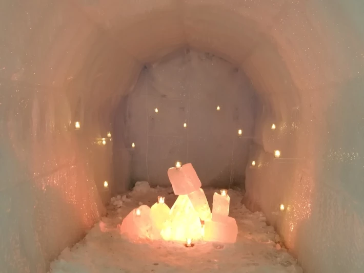 ice display