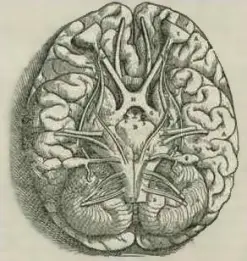 351665157-a7a2af811a738a987a66a61ade214876be4f60ab37d589f72d3f946424985192.jpeg