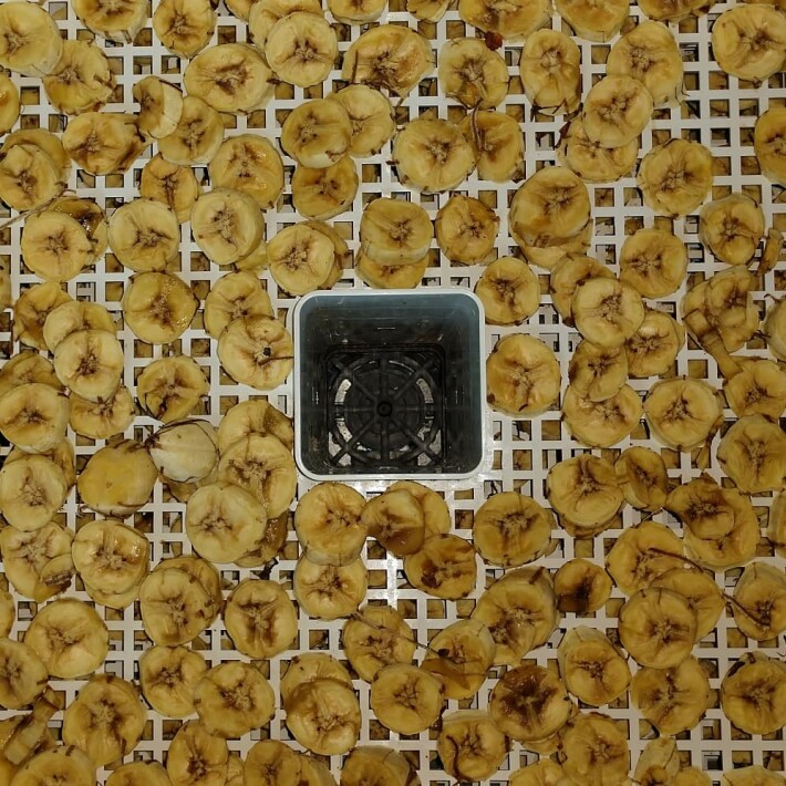 banana chips
