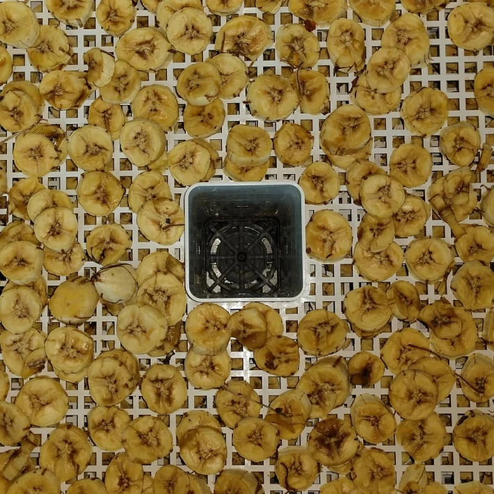 banana chips