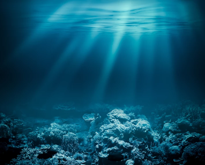 deep sea
