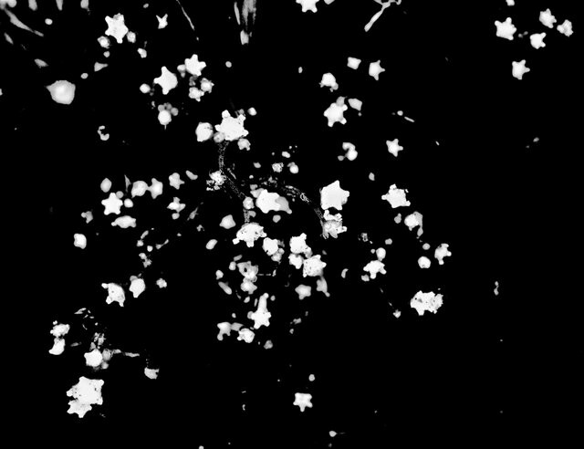 190903265-5fc3fd5e66dff35e999d6e8af1893e351ba182867b275f00f47d67984ee7dcf6.jpeg