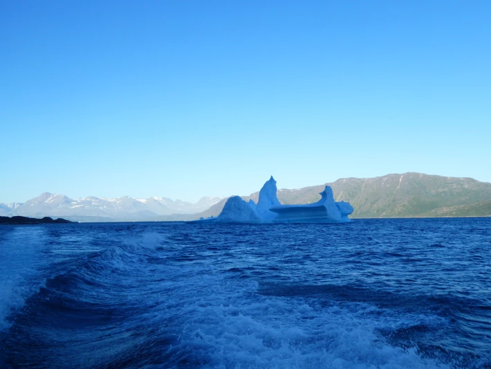 Transfer to Narsaq