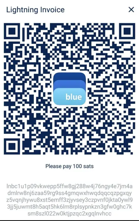100 SATS INVOICE