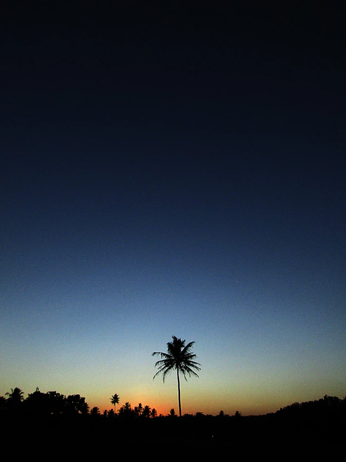 Tree and sky, by abisai
