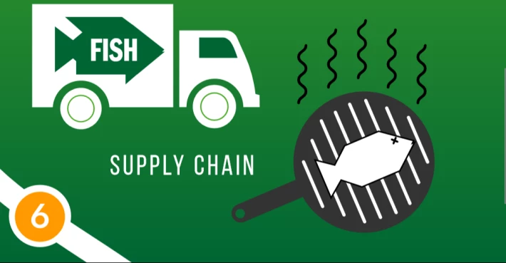 Tilapia Stage 6 Supply Chain