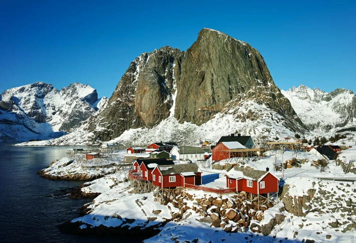 Foveon image 7