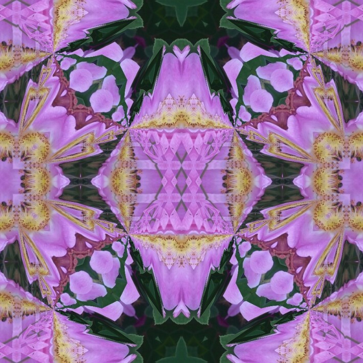 351665157-9b02e2e5b93bc326afd809af1e8d372b772aef6b562e3b489618dbcfd5ba84f3.jpeg