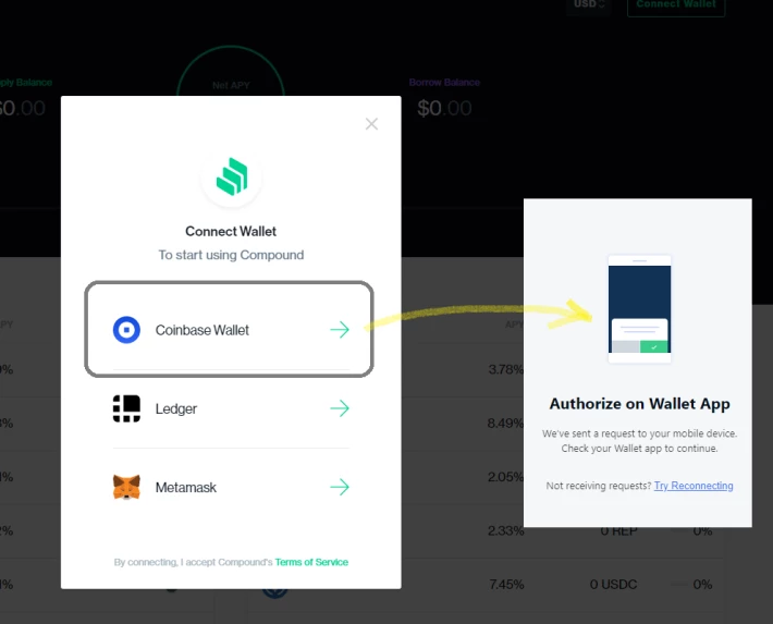 connect wallet