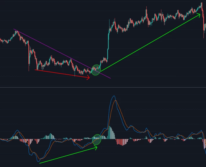 MACD Bullish Regular Divergence