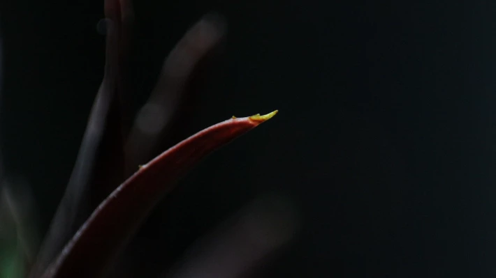 351665157-e3e9c3f692df6259d3408aa9f02405fbf14d9588c9566d17d690b9673eb79eb0.png