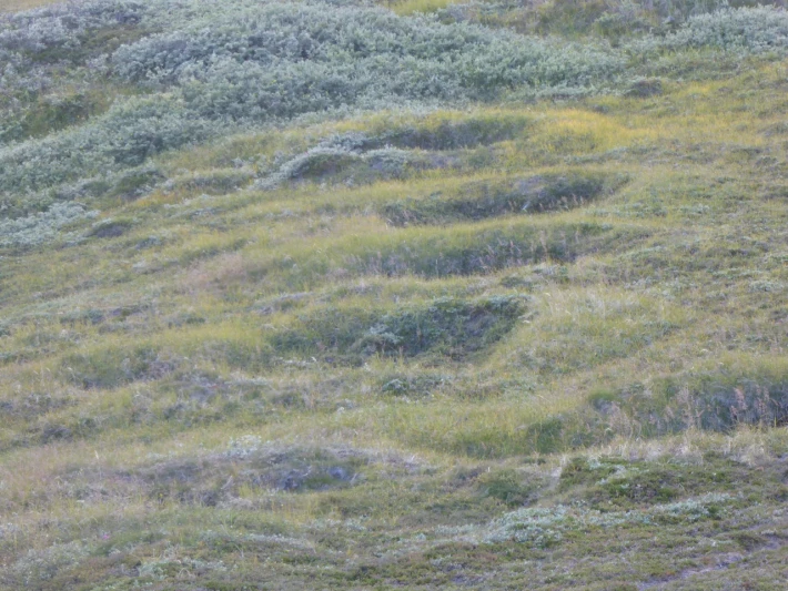Parts of the old Inuit settlement