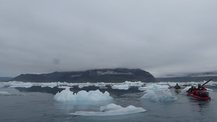 Paddling through a dense ice field