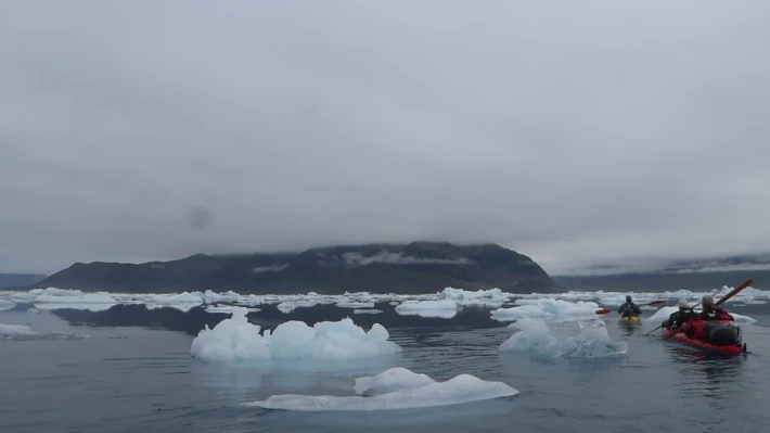 Paddling through a dense ice field