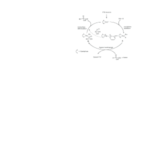 Chemistry behind catalytic conversion