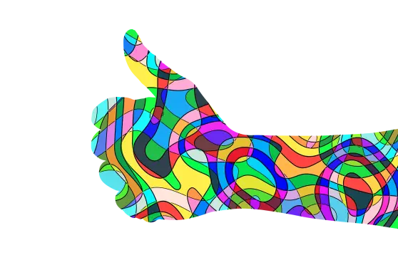 351665157-d10cfe50e0f5e73e725d81899714c3123684e020e7746be8bdec7e3b5e80475a.png