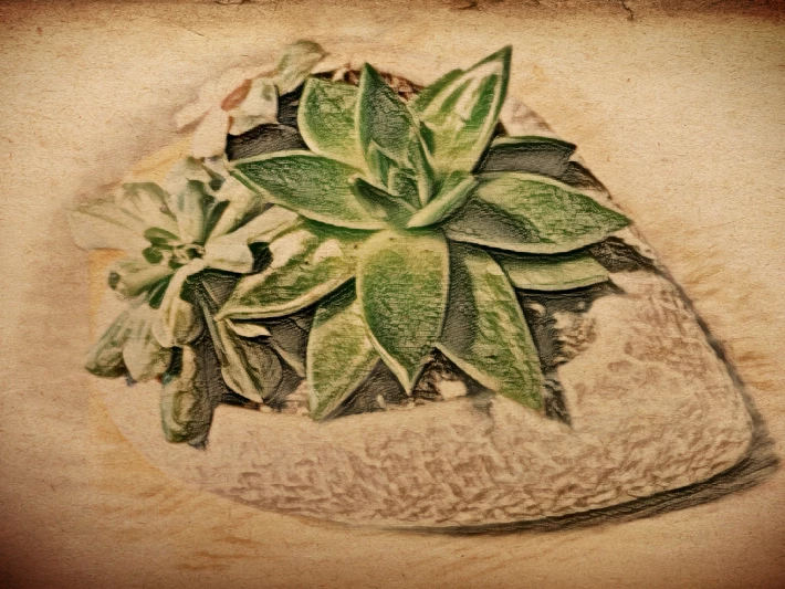 351665157-2fb6b8c6a524b17685367afbccb4e404ba78145bd4cb705c932333ccf74a112f.jpeg