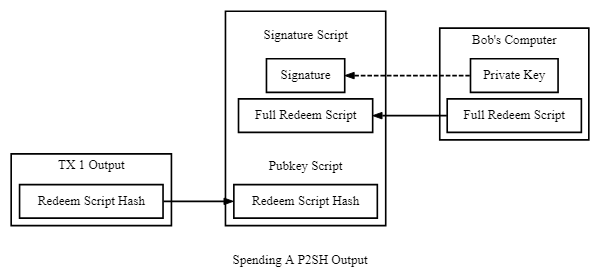 P2SH Scripts
