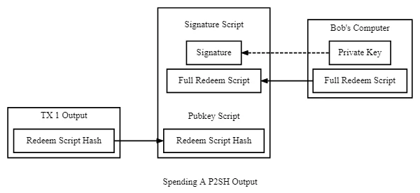 P2SH Scripts