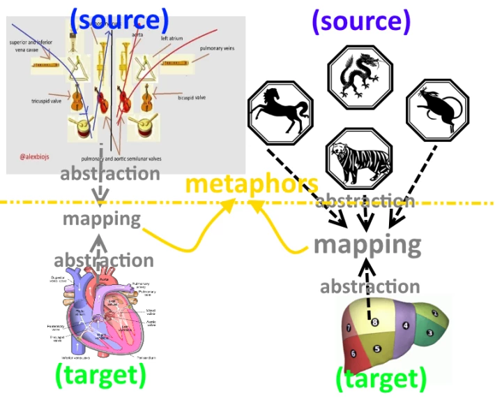 351665157-7a35ffd7f636da75f02c21961ed1fbc111c0a667ddfc63ad370ff94711811598.png