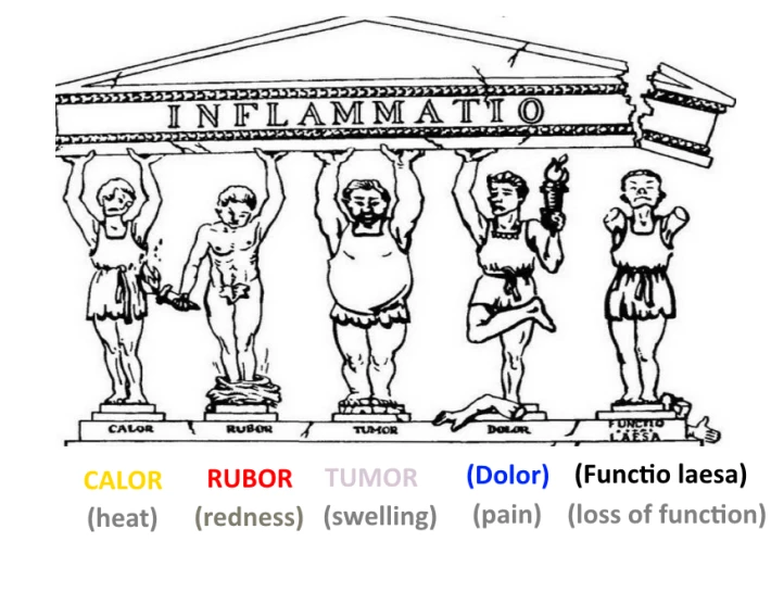 351665157-54dab637364556843e8f6f6299a9c67ac3f133f04099e3bd7174350547438f2e.png