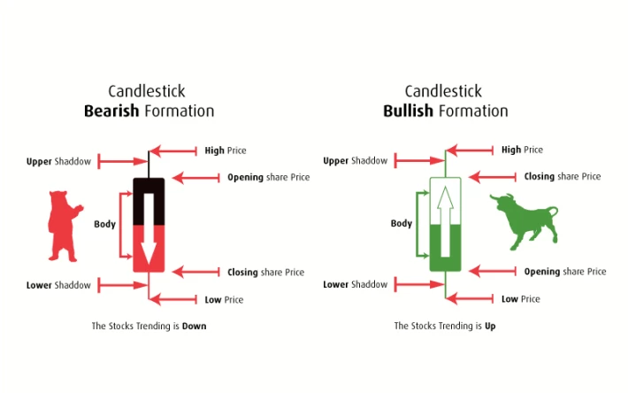Infographic Candlestick Formation