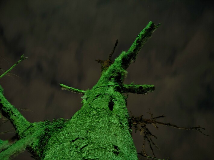 Green Man