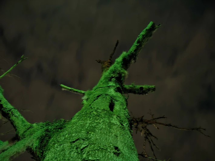 Green Man