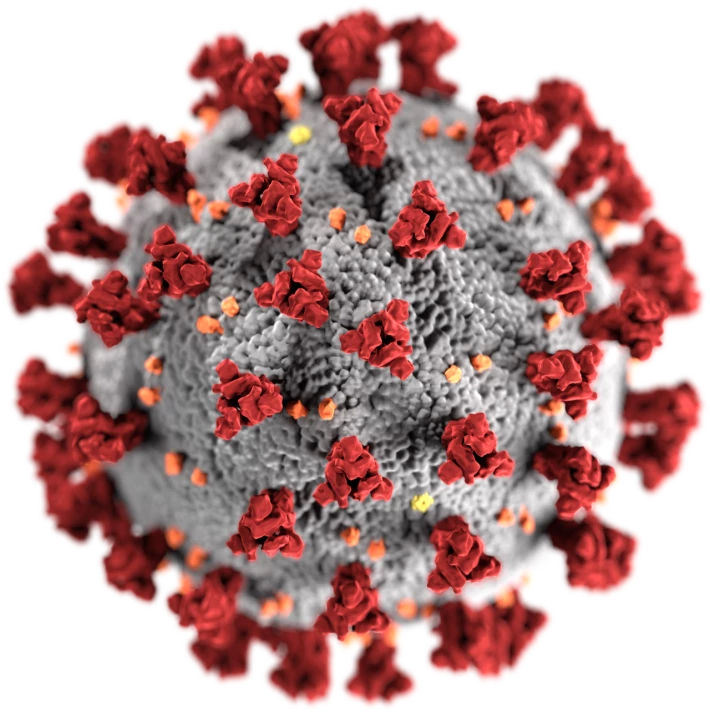 351665157-019fd8652b993aa921d6597ef55accaa19de7466860afe41f25751444c6a72ba.png